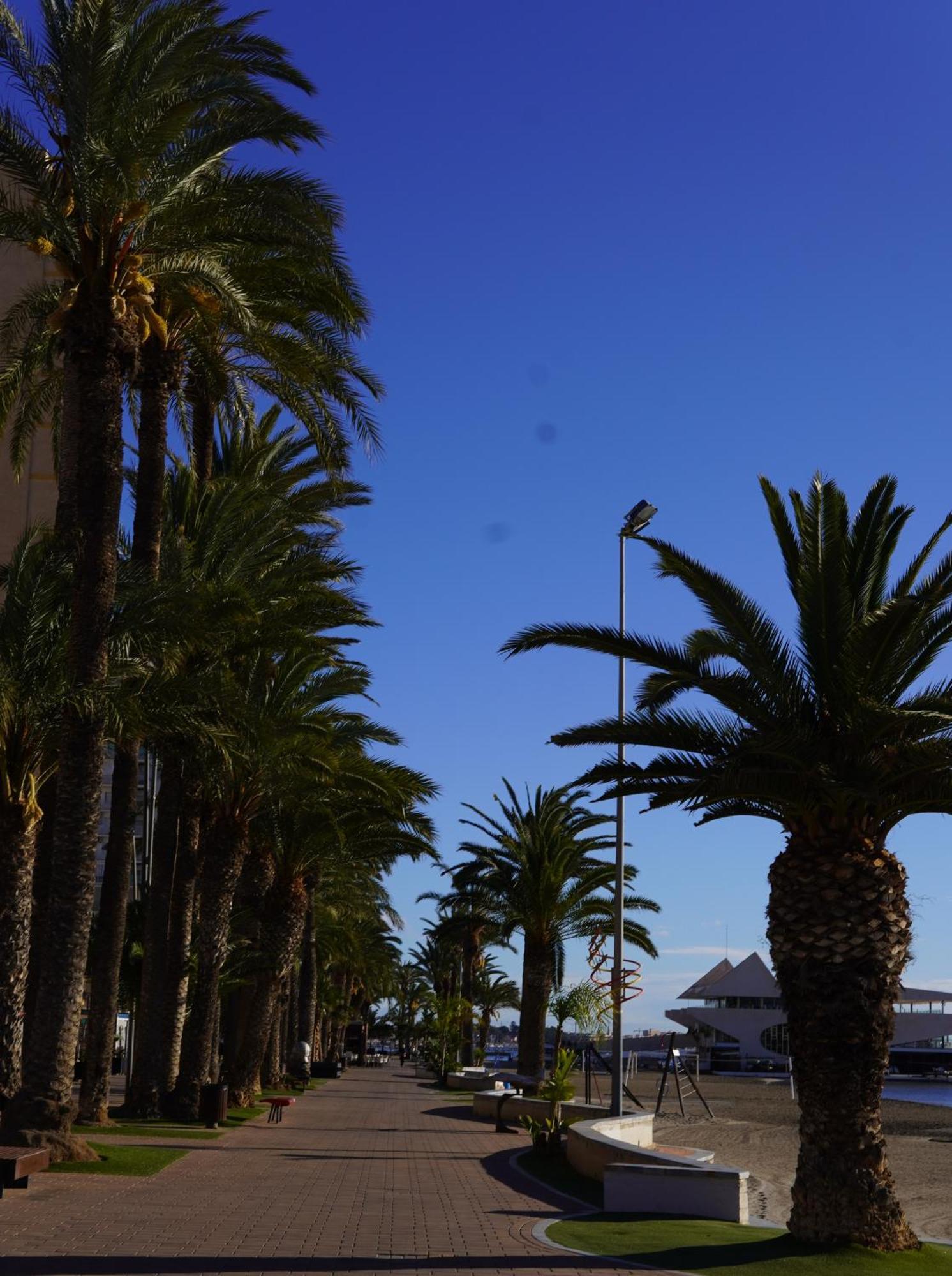 Casa Del Sol - Santiago De La Ribera, San Javier, 600 M From The Beach, Swimming Pool Exteriör bild