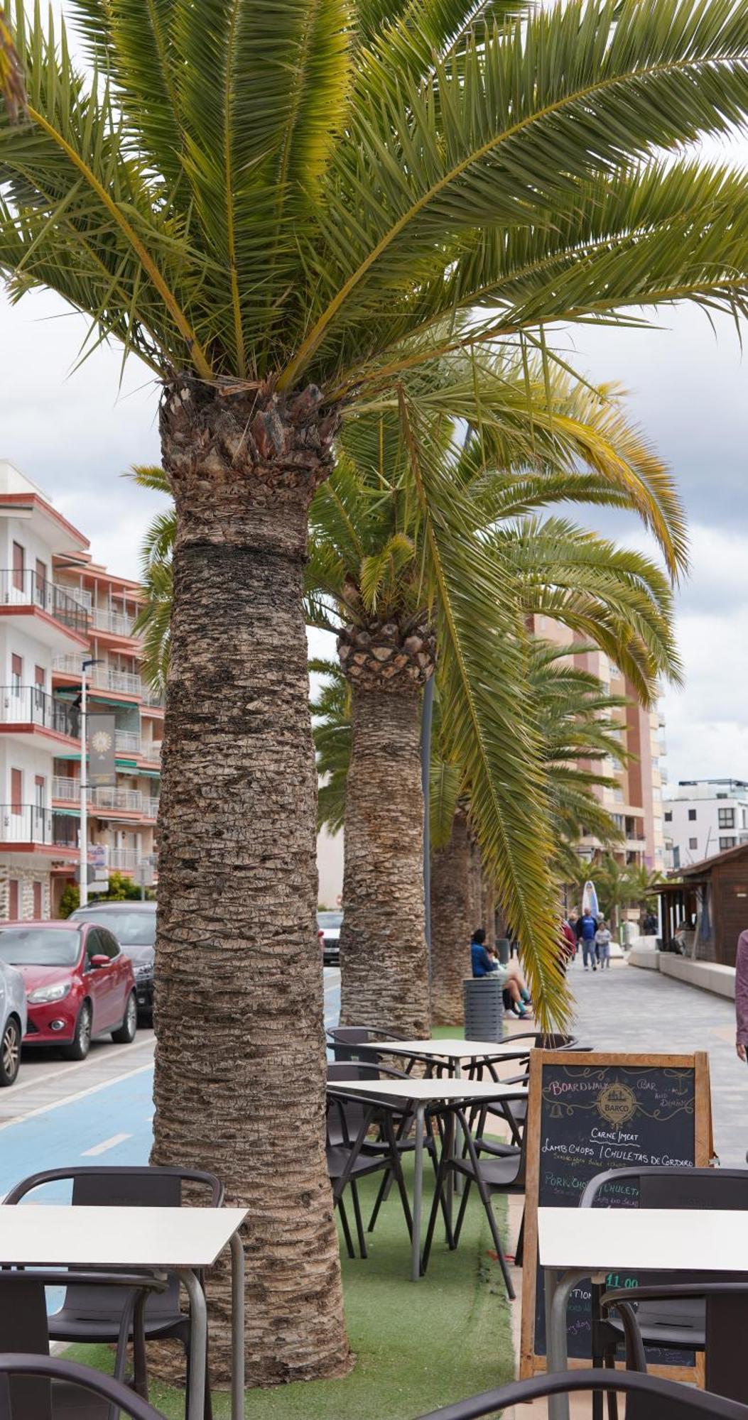 Casa Del Sol - Santiago De La Ribera, San Javier, 600 M From The Beach, Swimming Pool Exteriör bild